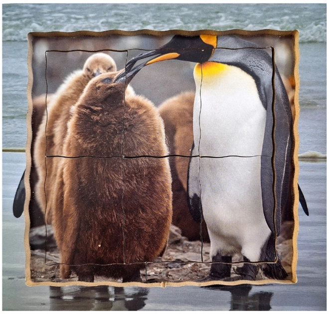 Penguin Life Cycle Wooden Layered Puzzle