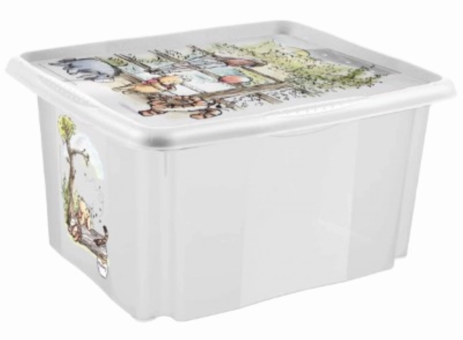 Storage Box Transparent