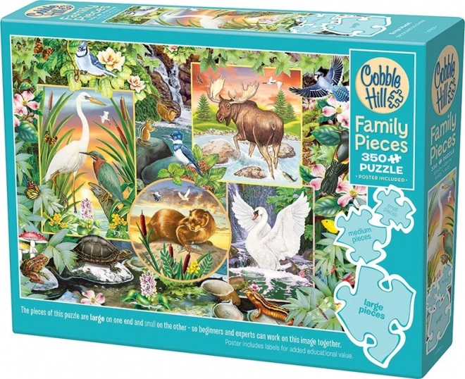 Family Puzzle River Magic 350 Pieces