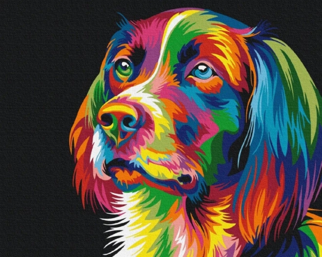 Paint By Numbers - Colorful Dog