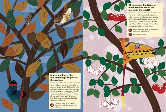 My Nature Activity Book with Stickers - Butterflies of the World