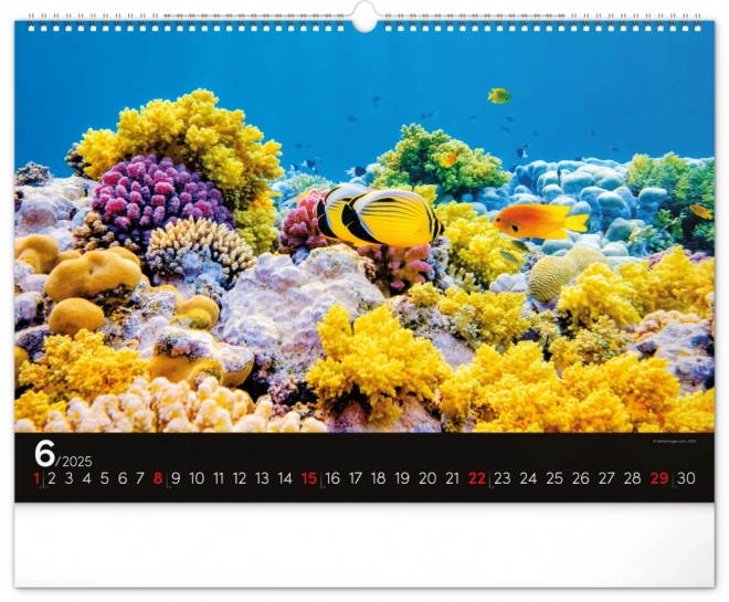 Wall Calendar Ocean 2025