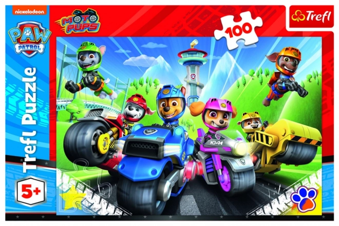 Paw Patrol On Motorbikes Puzzle