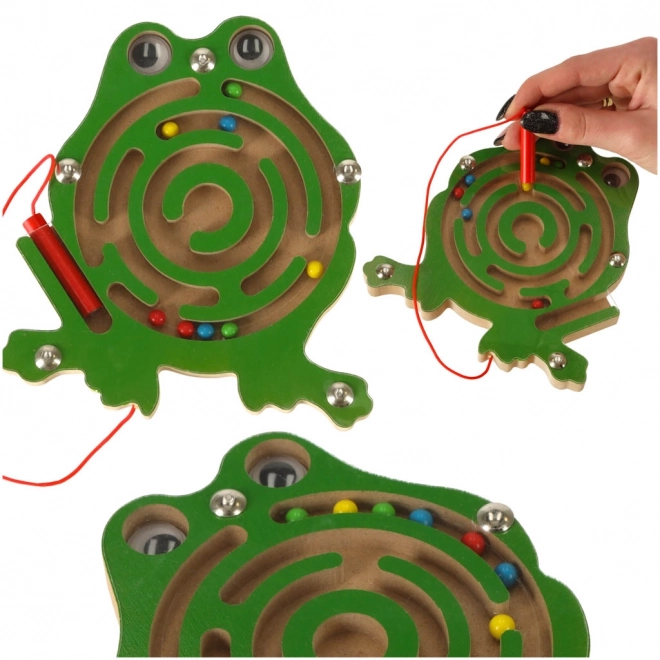 Magnetic Maze Toy Frog