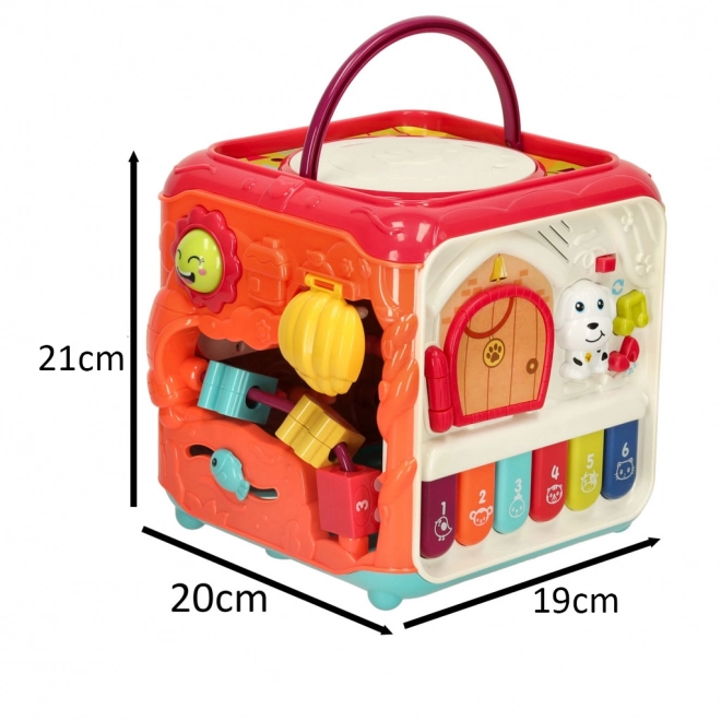 Interactive Educational Cube Catch the Bug 6-in-1