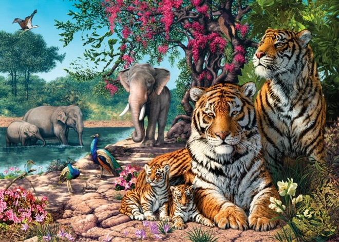 Castorland Puzzle Tiger Sanctuary 300 Pieces