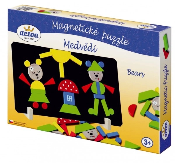 Magnetic Bear Puzzle