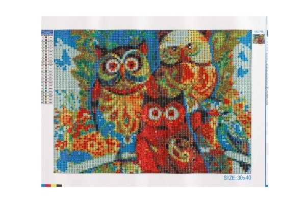 Owl Diamond Painting Kit