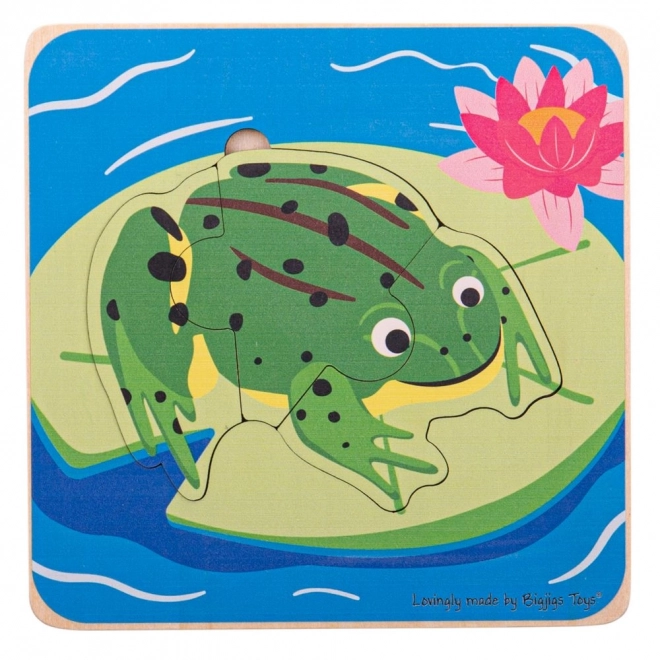 Bigjigs Toys Frog Life Cycle Layered Puzzle