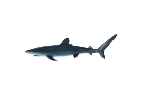 Blue Shark Plastic Toy 15 cm in Bag