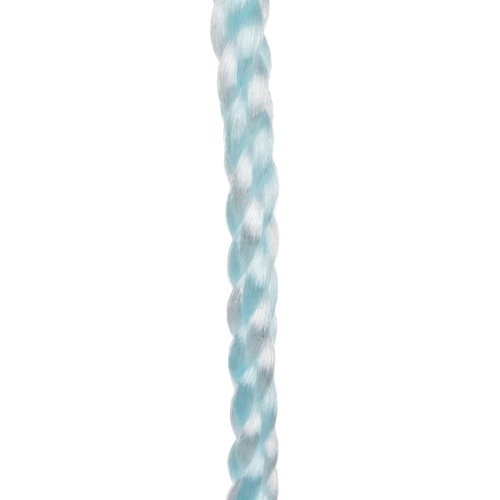 Plastic Swing - Blue