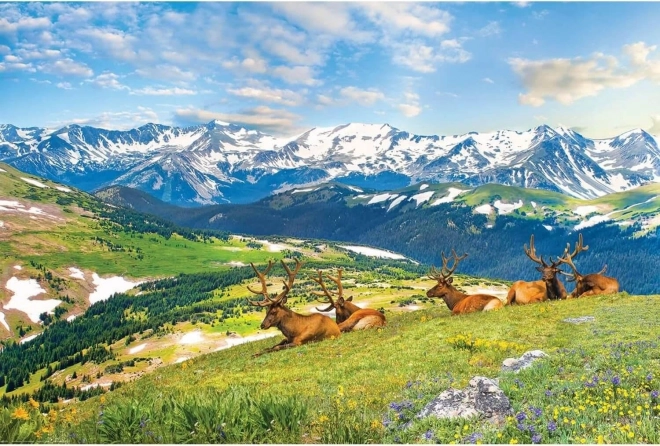 Eurographics Mountain Deer Puzzle