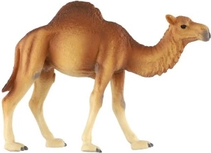 Stabilní a odolné provedení