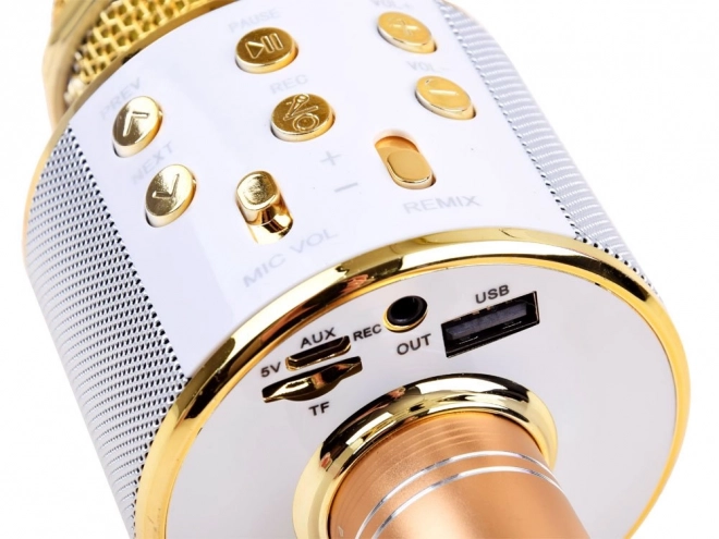 Wireless Karaoke Microphone Speaker – Gold