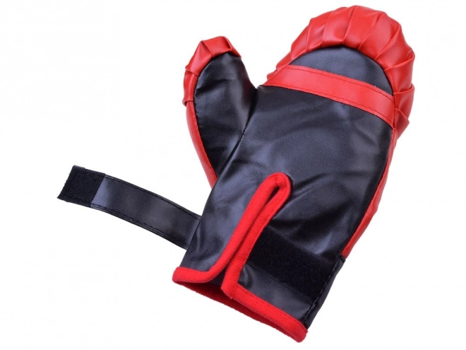 Boxing Set Gloves and Punch Bag