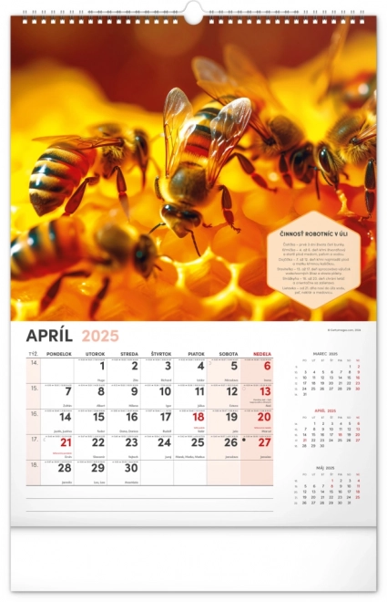 Wall Beekeeper Calendar 2025