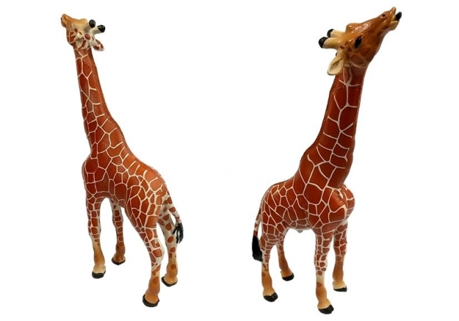 Giraffe Family Educational Figures with African Background