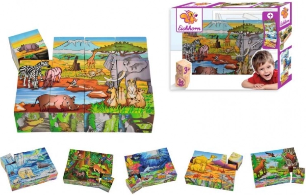 EICHHORN Wooden Picture Blocks, 12 blocks, 6 designs