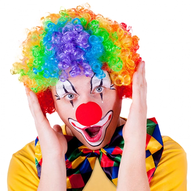 Colorful Clown Wig for Adults