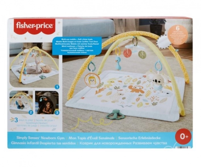 Activity Mat with Sensory Toys from Fisher-Price