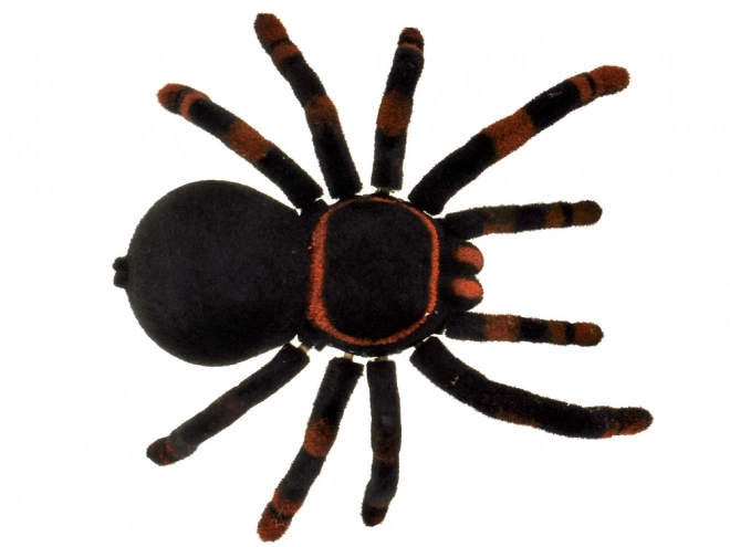 Remote Controlled Tarantula Spider