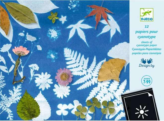 Set of Photosensitive Papers DJECO