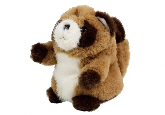 Interactive Talking Plush Raccoon Toy