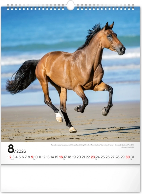Vægkalender Heste 2026