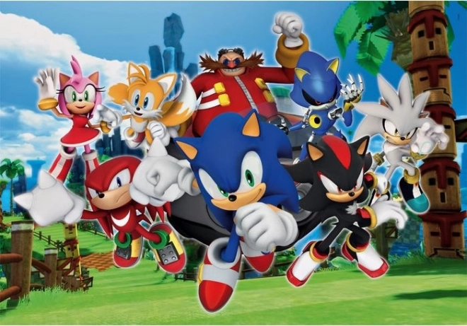 Sonic Hedgehog Puzzle 104 Pieces