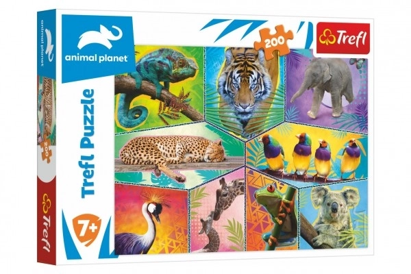 Animal Planet Exotic Animals Puzzle 200 Pieces