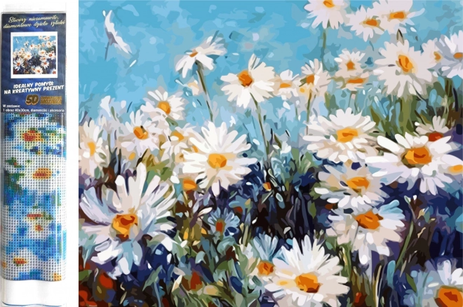 Diamond Painting Daisies 30x40cm