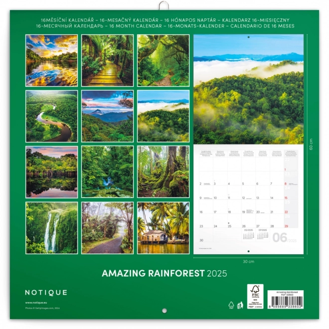 Rainforest Scenic Calendar 2025