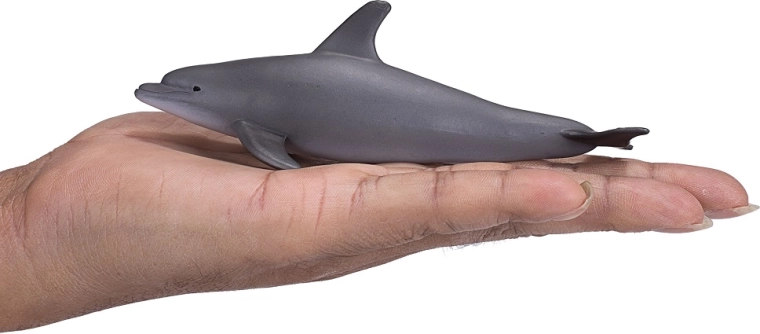 Compact size for play and display