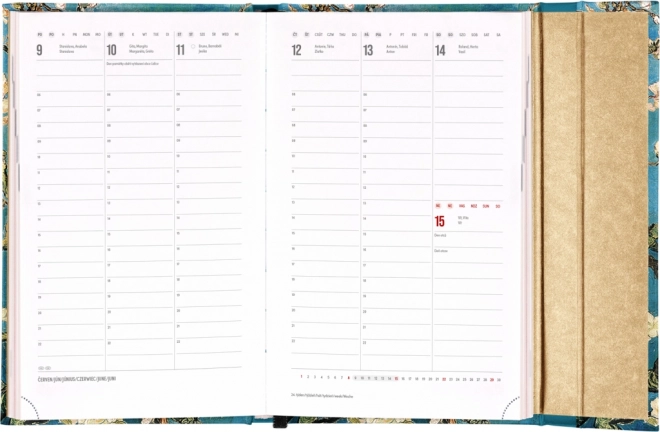 Weekly Magnetic Diary Vincent van Gogh 2025