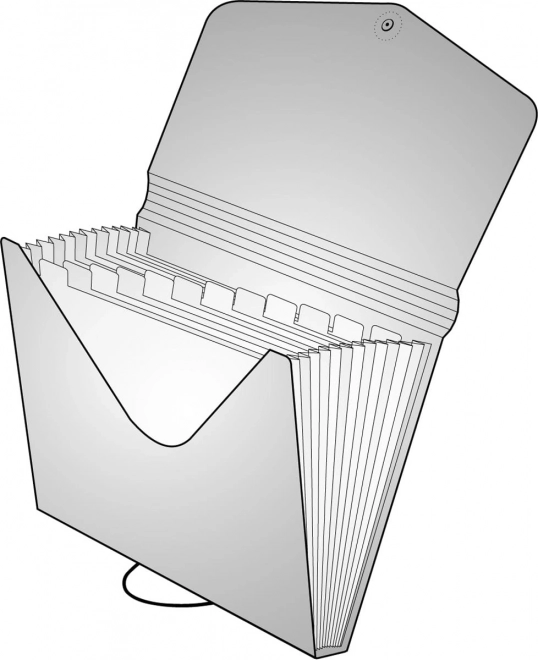 Document Organizer with Elastic Closure