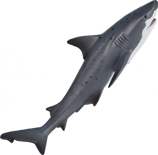 Realistic details and coloration