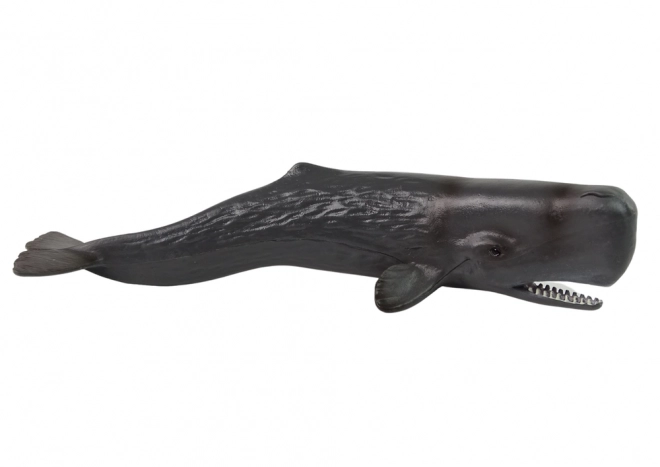 Sperm Whale Figurine from World The Sea Collection