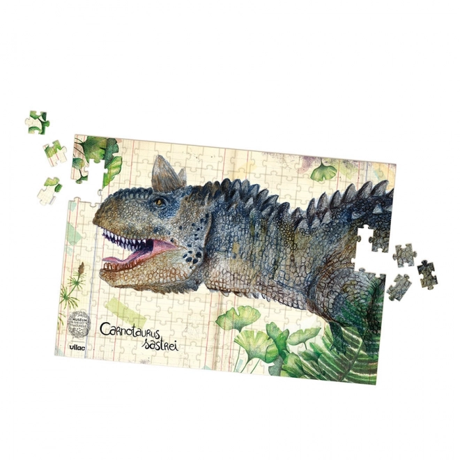 Dinosaur Puzzle Set by Vilac