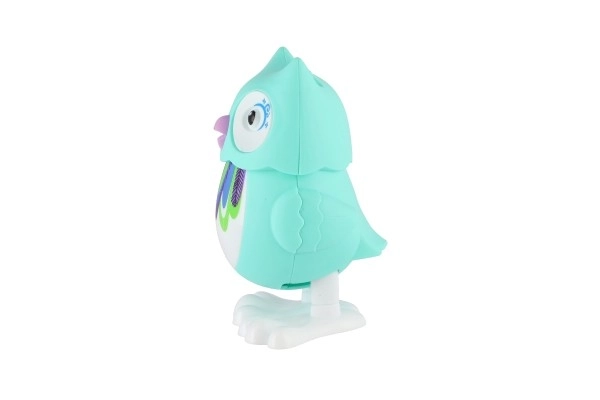 Colorful Wind-Up Owl Toy