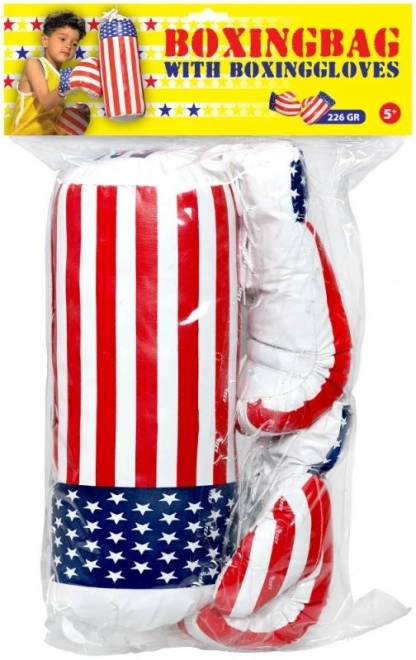 Punching Bag and Gloves