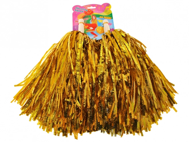 Colorful Cheerleader Pom Poms