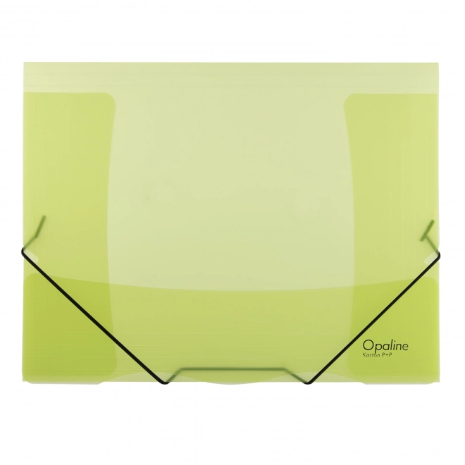 Green folder with elastic band