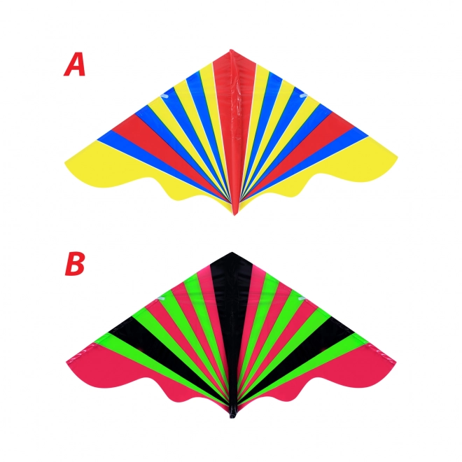 Colorful Flying Kite