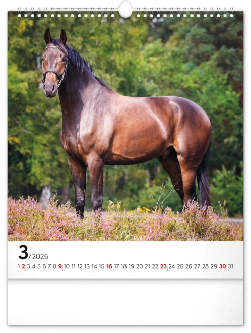 Wall Calendar Horses 2025