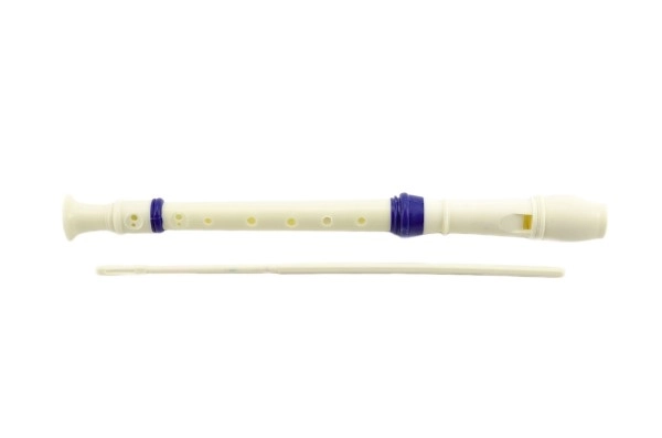 Plastic Flute with Cleaner in Case