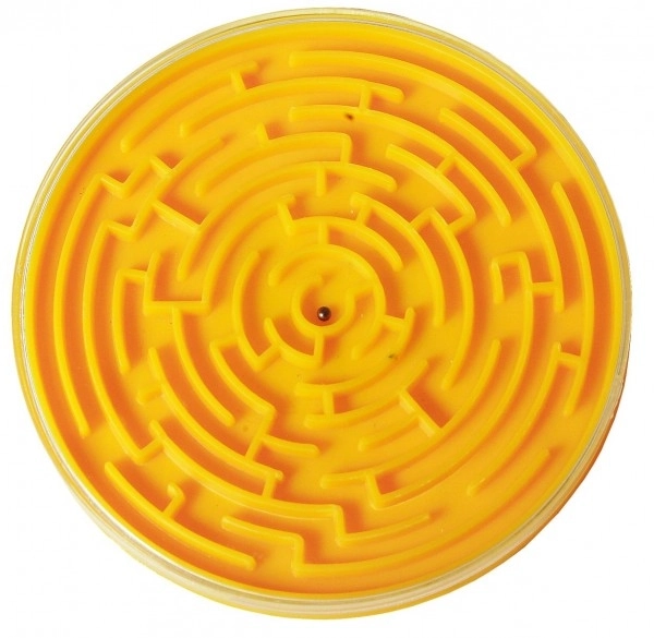 Maze Motor Skills Game