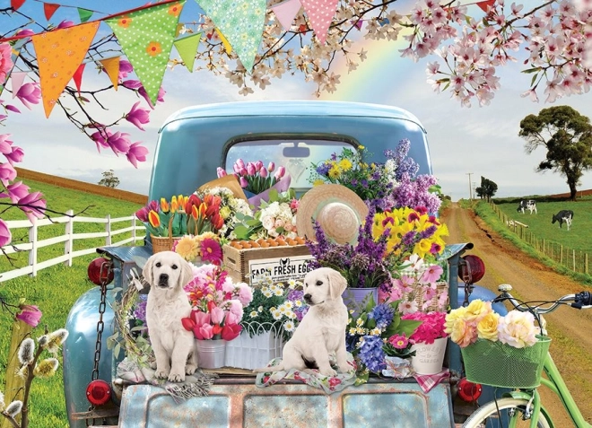 Cheerful countryside theme
