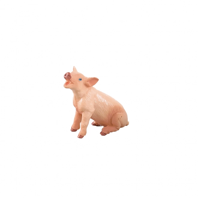 Farm Animal Pig Set