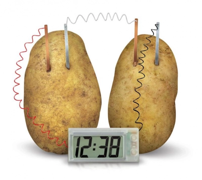 4M Potato Clock