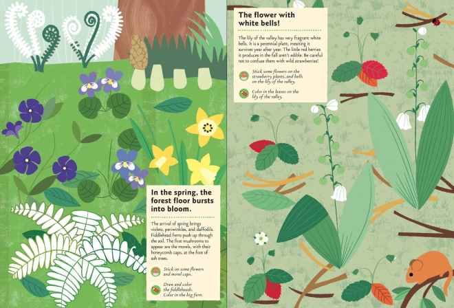 Nature Activity Sticker Book - In the Forest